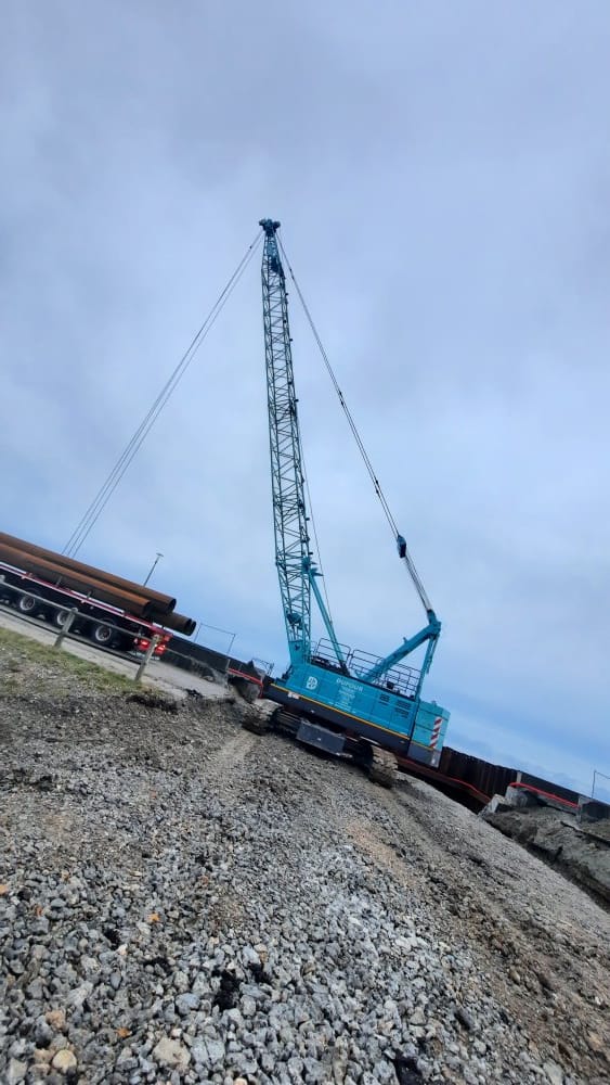 Contrôle VGP sur le terrain